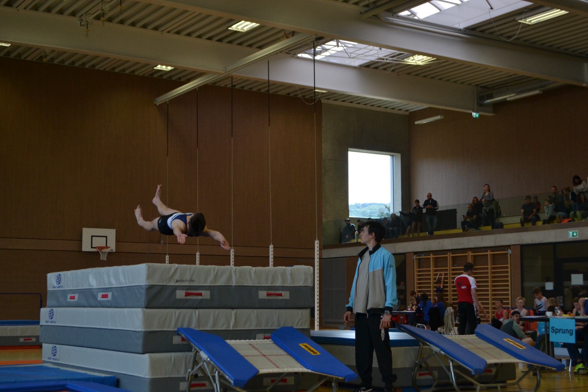 Bild (17)